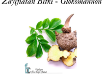 Glukamannan Doğal Formu